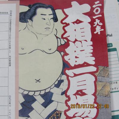 平成３１年（2019）大相撲１月場所・１０日目・遠藤フアンの相撲女子に沸く国技館
