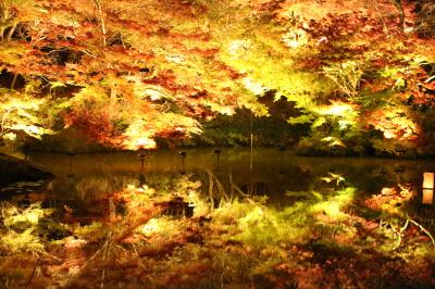 武雄 多久 夜景 に関する旅行記 ブログ フォートラベル 佐賀県