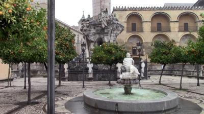 グラシアス!スペイン8日間④(コルドバ)