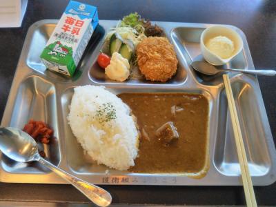 たまには“ベタ”なB級ご当地グルメ1811 　「まいづる海自カレー　“GORO SKY CAFE nanako”」　　　～舞鶴・京都～