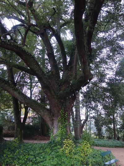 すばらしいホテルを散策。庭園も整備されています。