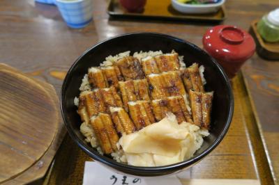 厳島神社、四半世紀ぶりにお参り