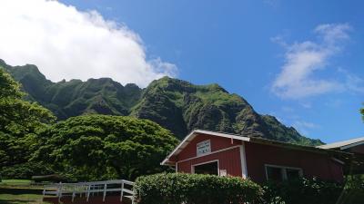 新婚旅行以来のハワイ＊2日目