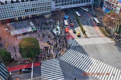 【東京散策94】 普段は人が多くて近づけない渋谷駅周辺～代官山を平日歩いてみた