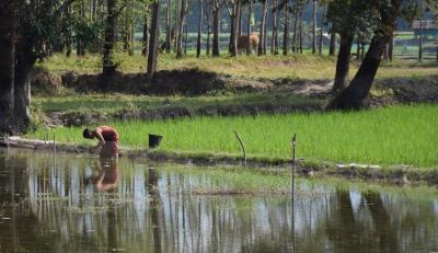 ミャンマー 一人旅(パアンのお寺巡り)