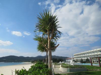 沖縄・久米島２０１９冬（１４）久米島イーフビーチホテル最終日の朝食と青空のビーチ