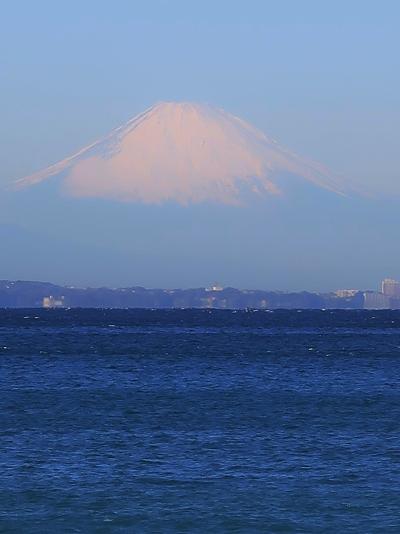 鋸南-2　保田海岸　= 富 士 山 =　東京湾越しに遠望でき　☆アロエ花咲く浜から三浦半島も