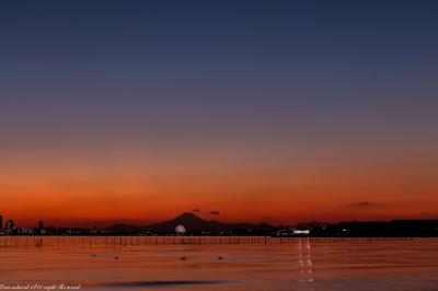 夕日撮影でふなばし三番瀬海浜公園+東京ゲートブリッジ　