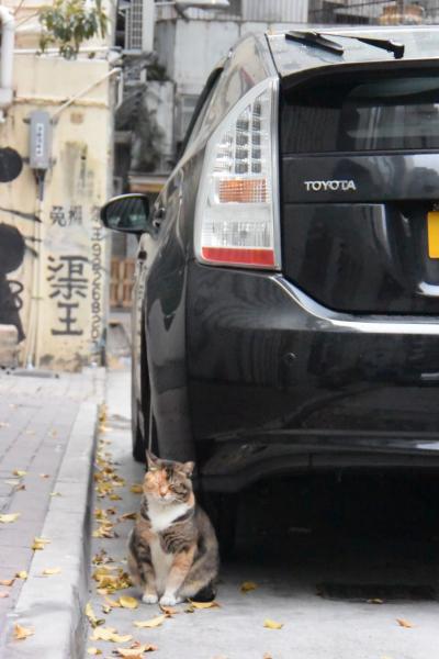 西環パトロール【2019年1月号】（３日目）