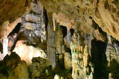 井倉洞と満奇洞の探検 ～カルスト台地の鍾乳洞～（岡山）