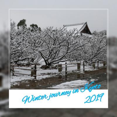 第53回 京の冬の旅  2019年 1月と３月