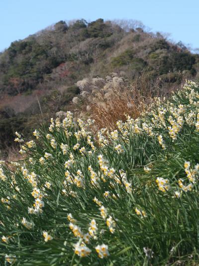 鋸南-6　江月水仙ロード　ハイキング復路で　☆保田駅までのんびりと歩き