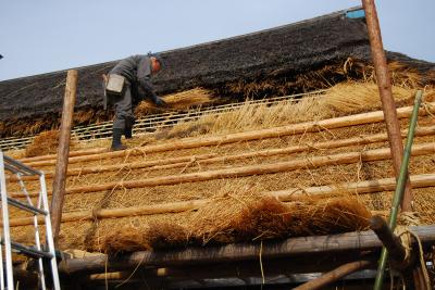 茅葺き屋根の葺き替え工事を見学しました。
