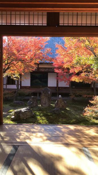 2018年12月　見どころ多い建仁寺へ　ベストな紅葉でした。