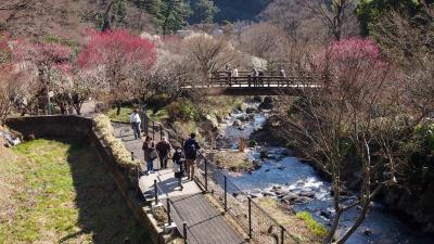 親子3人旅、伊東へ
