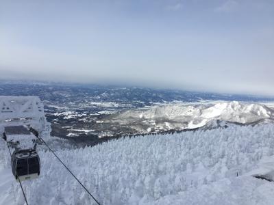 海外旅行だけでなく国内スキーも行くよ♪　2019年1月・蔵王温泉＆青根温泉の巻