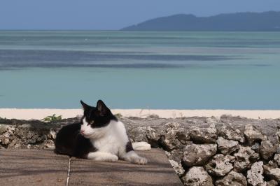 誕生日のお祝いで家族旅行
