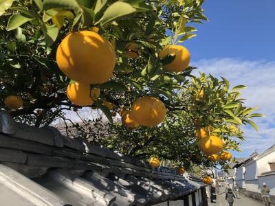 冬の山口・萩・秋芳洞１泊２日