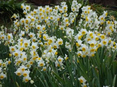 横井山緑地公園