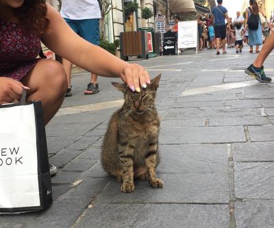 マルタ共和国(前) バカンスとぬこと巨石文明と、そして海外で初の医者…-自称独立国2国含む15日11カ国ヨーロッパ小国マラソン(6)