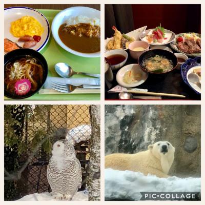 AIRDO無料航空券で旭川へ　（一人旅）　ＤＡＹ2その２～ＤＡＹ３☆続旭山動物園～翌日の帰路まで☆