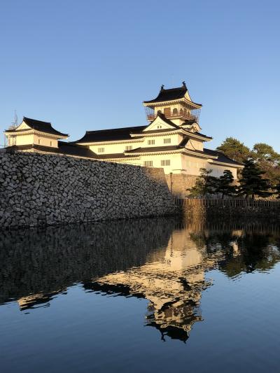    平成（30年）最後の青春１８切符で行く富山・魚津への「のんびり・ゆったり」できる小さな旅（富山市編）