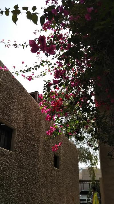 2019_1月初旅はUAEのドバイ&アブダビへ~ドバイ後編~