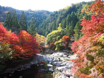 紅葉三昧・山陰旅行記☆4日目（湯原温泉～奥津渓）