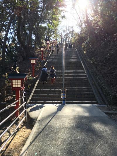 【中央関東紀行】東京・八王子市で初の高尾山チャレンジ