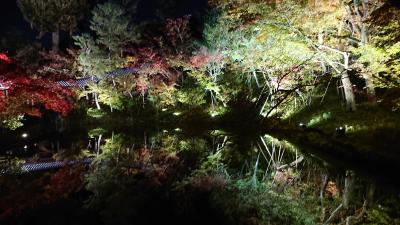 紅葉巡り（京都）　2日目　4/4　：　清水寺・高台寺・圓徳院編(夜景）