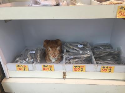 2019年も、行きます香港！③帰国日ですー(´;ω;｀)