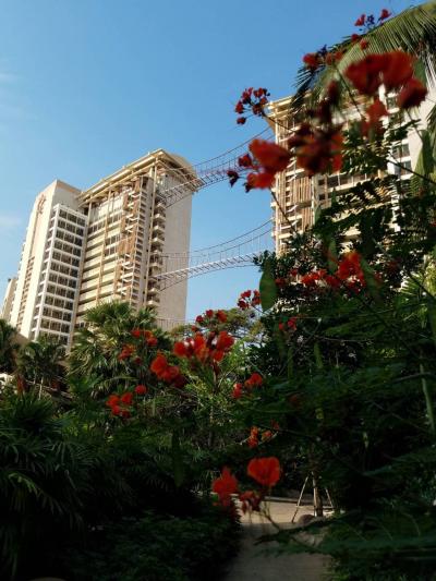 2019 January,10才娘と行くPattayaの旅①*Centara Grand Mirage Beach Resort Pattaya*