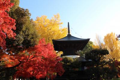 足利で紅葉を愛でる旅