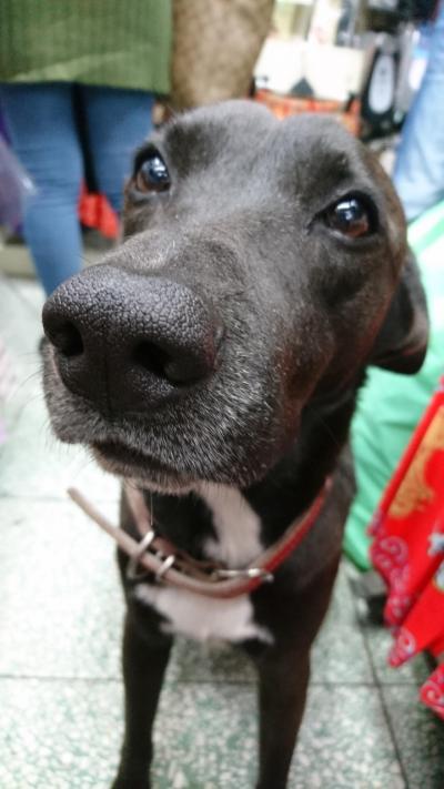 Day3 新竹市内1日観光の日