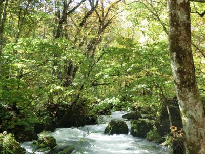 秋の東北周遊（３）憧れ続けた奥入瀬渓流を散策