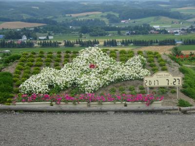 レンタカーで北海道巡りの旅(2)