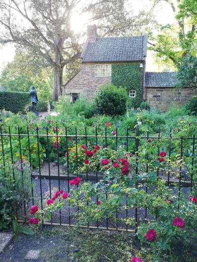 スターアライアンス ビジネスクラスで行く3週間で世界一周(54)「メルボルン2日目 FITZROY GARDEN」