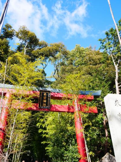 熱海で桜と梅の花見♪