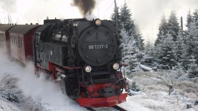 冬のメルヘン　ドイツ、東フランスを巡る　８（ドイツ編）　４日目①　ハルツ狭軌鉄道ＳＬでブロッケン山へ
