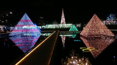 あしかがフラワーパークイルミネーションバスツアー