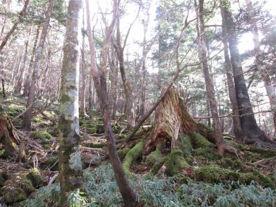 大台ケ原と天川村