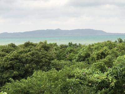 平成最後の年末は…雨がち石垣島 １日目