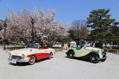 古都で楽しむクラシックカーと京都さくらよさこい