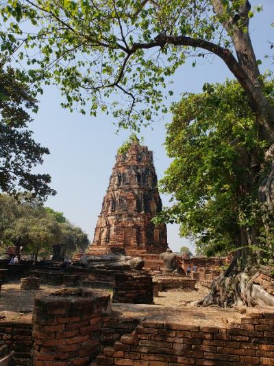 出張だけど、タイ観光。　＜アユタヤ編＞