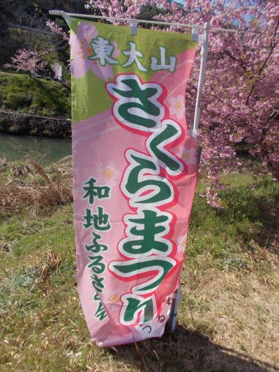 こんな所にも 春を感じる・・東大山の河津桜  ＠はままつ 西区（お花 ２０の１３）TWICE １６本