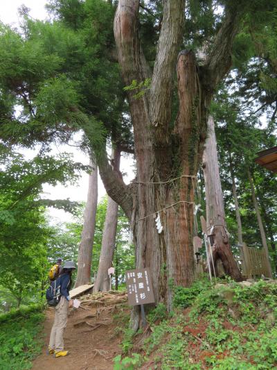 心の安らぎ旅行（2018年 5月 Part3 三女神へ参拝させて頂きます♪）