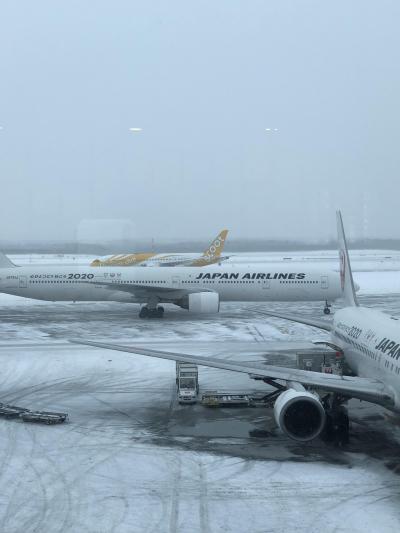 aviosマイル！JALで行く第70回札幌雪祭り２人旅2019