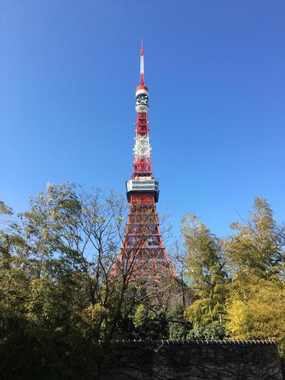 東京　タワーとドーム　楽しいなっ♪
