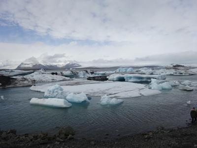 最北の大自然、氷と地熱の島をロングドライビング！：アイスランド旅行【１０】（2018年GW ３日目③ アクアブルーの氷片湖）