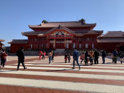 SFC修行01 修学旅行以来の沖縄へ